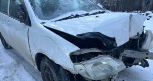 Иномарка влетела в дерево недалеко от Улагана, пострадала автоледи