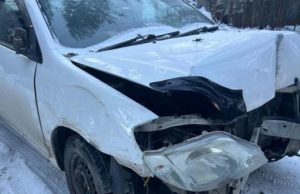 Иномарка влетела в дерево недалеко от Улагана, пострадала автоледи