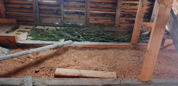 Житель Усть-Мунов хранил на чердаке больше килограмма наркотиков