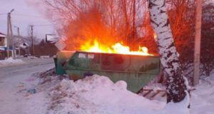 С начала года в Горно-Алтайске произошло шесть пожаров