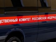 Турист погиб, врезавшись в дерево на снегоходе у подножия Белухи Турист погиб, врезавшись в дерево на снегоходе у подножия Белухи