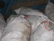 Жителя Банного наказали за добычу почти 200 кг «золотого корня» Сельчанин осужден за незаконную добычу почти 200 кг «золотого корня»