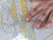 Обзор работы юрфирмы International Expert