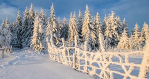 Прогноз погоды: по-прежнему небольшие морозы