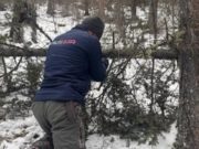Браконьеры в Республике Алтай угрожают краснокнижным животным