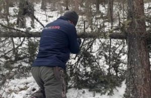 Браконьеры в Республике Алтай угрожают краснокнижным животным