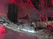 В ночном ДТП у села Сайдыс пострадал пассажир УАЗа