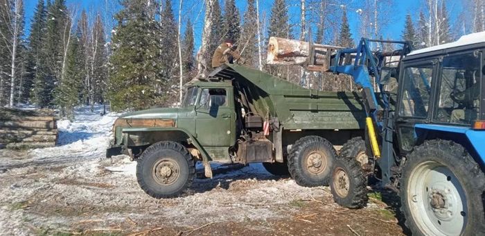 Жители Горного Алтая начали получать бесплатные дрова