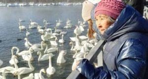 Постояльцы дома-интерната «Алтай» побывали в лебедином заказнике