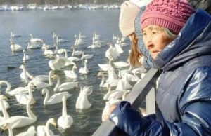 Постояльцы дома-интерната «Алтай» побывали в лебедином заказнике Постояльцы дома-интерната «Алтай» побывали в лебедином заказнике