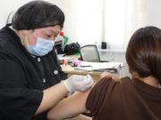 Вакцинация против чумы началась в Кош-Агачском районе