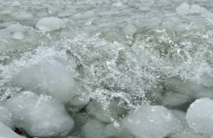 На Телецком озере заметили снежуру На Телецком озере заметили снежуру