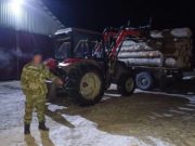В Карасуке работника пилорамы насмерть придавило бревном