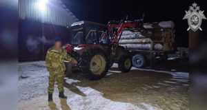 В Карасуке работника пилорамы насмерть придавило бревном