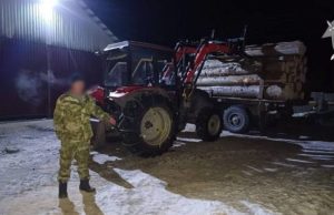 В Карасуке работника пилорамы насмерть придавило бревном В Карасуке работника пилорамы насмерть придавило бревном