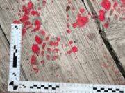 Пенсионер пойдёт под суд за убийство брата Пенсионер зарезал своего брата в Яконуре и теперь пойдет под суд