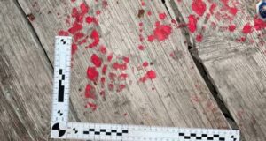 Пенсионер пойдёт под суд за убийство брата Пенсионер зарезал своего брата в Яконуре и теперь пойдет под суд