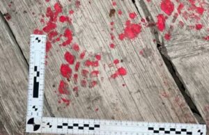 Пенсионер пойдёт под суд за убийство брата Пенсионер зарезал своего брата в Яконуре и теперь пойдет под суд