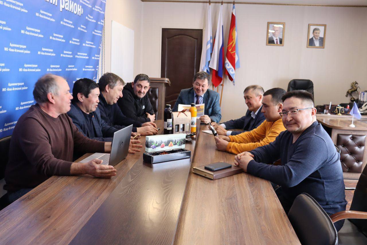 Облепиховые сады заложат в Кош-Агачском районе 