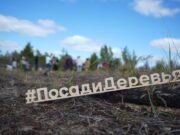 Майские праздники в стиле эко: рекомендации фонда «Экология»