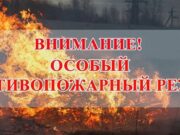 Особый противопожарный режим введен в Республике Алтай Особый противопожарный режим введен в Республике Алтай