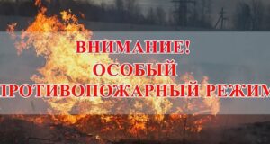Особый противопожарный режим введен в Республике Алтай