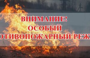 Особый противопожарный режим введен в Республике Алтай