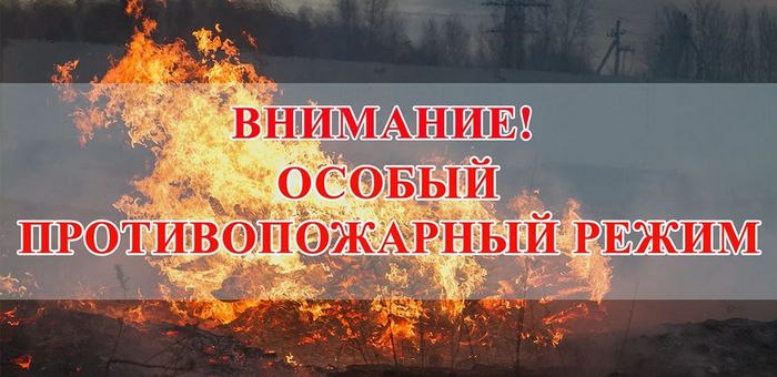 Особый противопожарный режим введен в Республике Алтай
