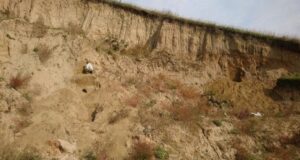 Ученые нашли следы гигантского паводка, произошедшего на Алтае десятки тысяч лет назад
