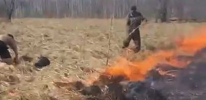 Травяной пожар потушили в Чойском районе 