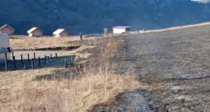 Травяной и лесной пожар произошли в Чемальском районе
