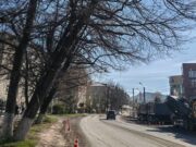 Деревья у налоговой в Горно-Алтайске вырубят во время ремонта улицы Деревья у налоговой в Горно-Алтайске вырубят во время ремонта улицы