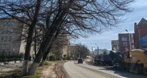 Деревья у налоговой в Горно-Алтайске вырубят во время ремонта улицы