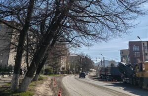 Деревья у налоговой в Горно-Алтайске вырубят во время ремонта улицы Деревья у налоговой в Горно-Алтайске вырубят во время ремонта улицы
