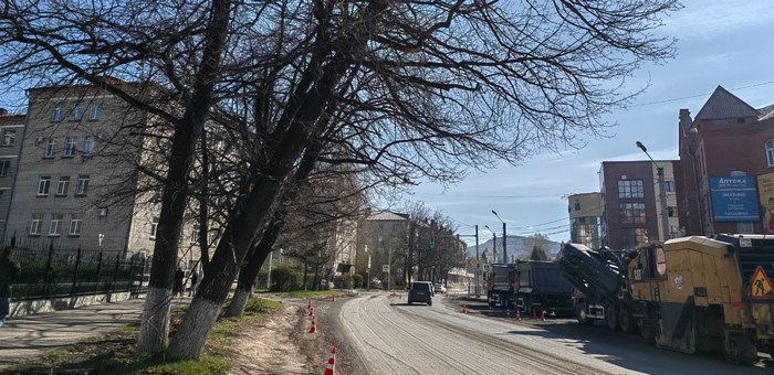 Деревья у налоговой в Горно-Алтайске вырубят во время ремонта улицы