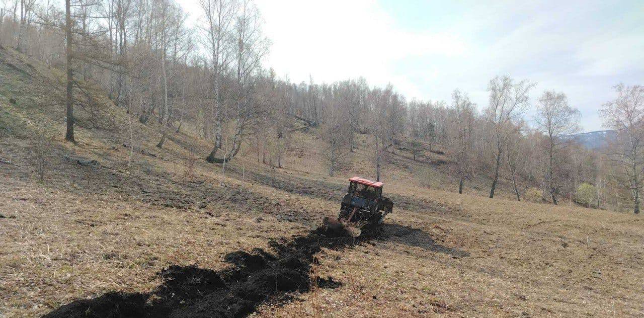 Лесной пожар в Чемальском районе тушат уже третий день 