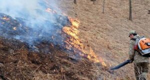 Высокая пожароопасность сохраняется в Республике Алтай