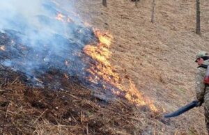 Высокая пожароопасность сохраняется в Республике Алтай Высокая пожароопасность сохраняется в Республике Алтай