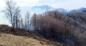 В лесах Республики Алтай завершен пожароопасный сезон