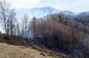 В лесах Республики Алтай завершен пожароопасный сезон