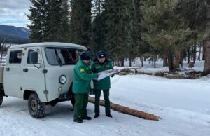 На Алтае существенно снизилось количество незаконных рубок На Алтае существенно снизилось количество незаконных рубок