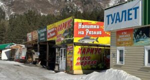На Алтае формируют единые стандарты размещения рекламных конструкций