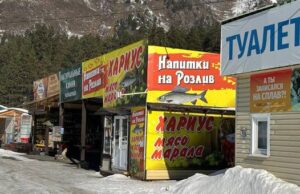 Без визуального шума. На Алтае формируют стандарты размещения рекламных конструкций На Алтае формируют единые стандарты размещения рекламных конструкций