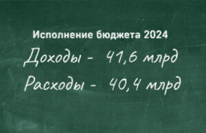 Бюджет региона за 2024 год исполнен с профицитом