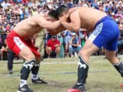Национальные виды спорта будут развивать на Алтае