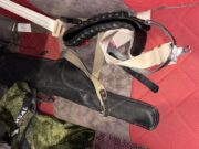 На Алтае охотникам вынесли приговор за незаконный отстрел косули