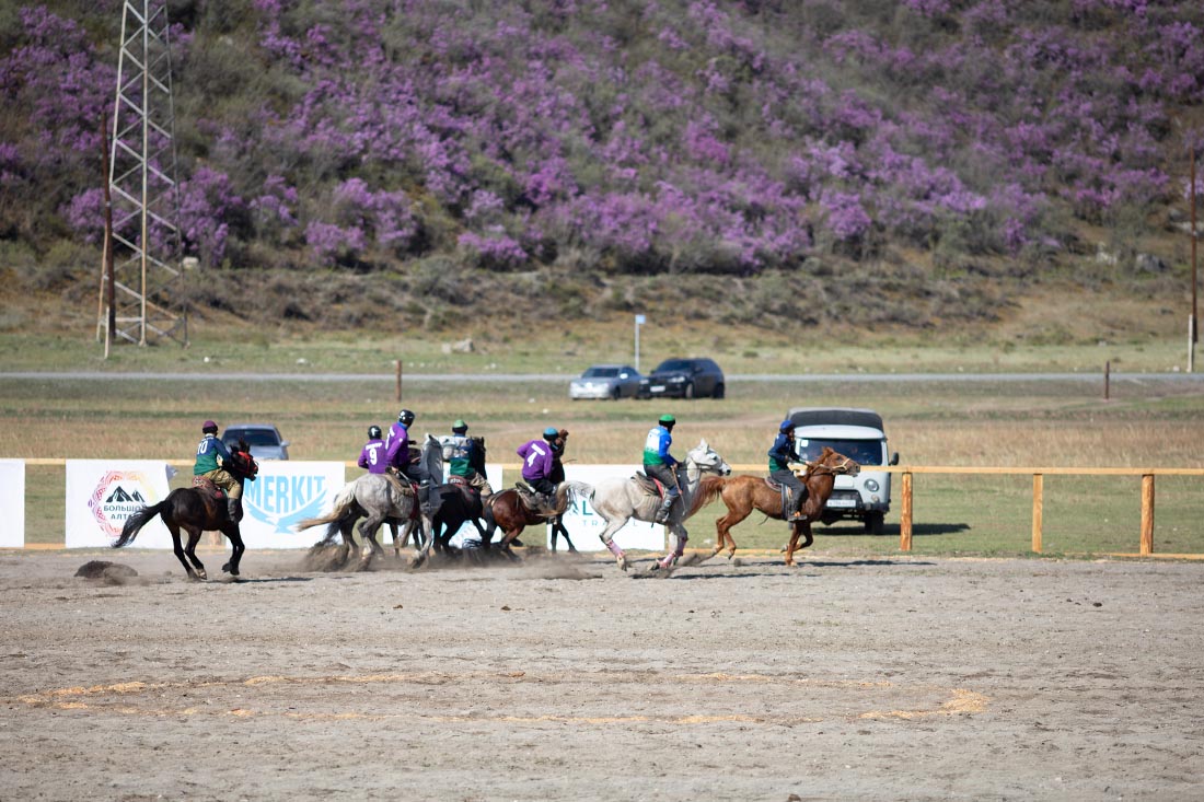 Фестиваль «Чике-Таманская весна» посетили более 12 тыс. человек