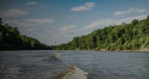 Объявлено штормовое предупреждение из-за подъема уровня Бии и Телецкого озера