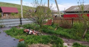 В Алферово 12-летняя мотоциклистка влетела в забор В Алферово 12-летняя мотоциклистка влетела в забор