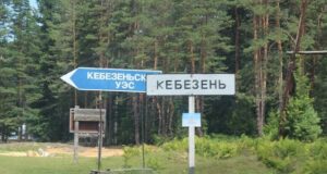 Животные портят могилы на кладбище в селе Кебезень